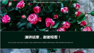 Bright roses - plant PPT template