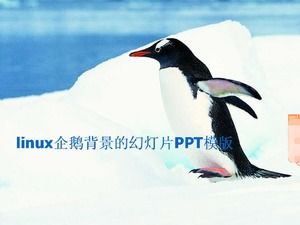 Linux企鹅背景幻灯片PPT模板
