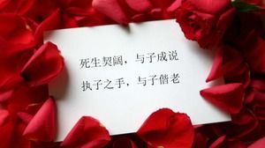 2010 عيد الحب الصيني قالب شرائح PPT خاص