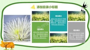 Modelo de ppt de apresentação de publicidade de tema de proteção ambiental de desenho verde