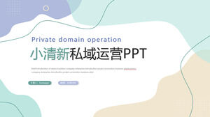 Small fresh private domain traffic operation plan community operation process ppt template