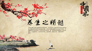 Vânt chinezesc medicina tradițională chineză îngrijire a sănătății șablon PPT de medicina chineză pe bază de plante