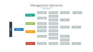Schemat organizacyjny zarządzania Materiał PPT