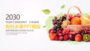 Общий шаблон PPT для фруктовой промышленности