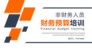 Personal nefinanciar instruire buget financiar PPT