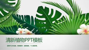 Fresh and eye-catching green plants PPT template 2