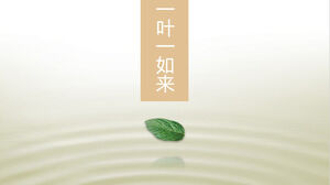 Download del materiale del modello PPT della cultura del tè Yirulai a una foglia