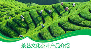 Zielona minimalistyczna herbata kultura kultura herbaciana wprowadzenie produktu szablon PPT