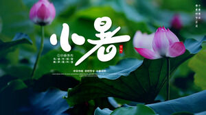 연꽃 잎 연꽃 중국 전통 농업 시즌 작은 여름 환영 PPT 템플릿