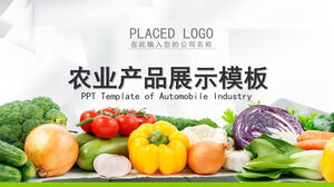 Green ecological agriculture fruit and vegetable agricultural products ppt template