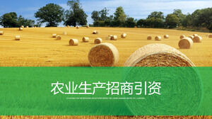 Promocja inwestycji w produkcję rolną Szablon PPT reklama produktów rolnych