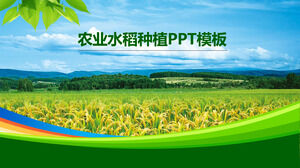 Template PPT umum industri pertanian