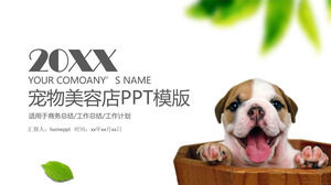 Szablon PPT w zakresie promocji marki sklepu dla zwierząt domowych