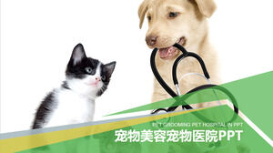 Pielęgnacja zwierząt domowych szablon PPT szpitala dla zwierząt