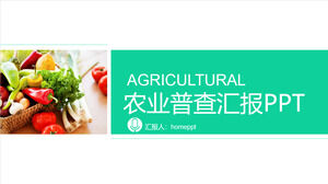 Modèle PPT de promotion de produits agricoles de rapport de recensement agricole