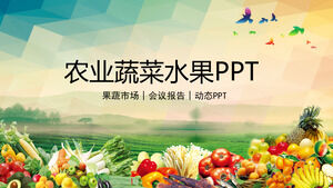 Modello PPT del rapporto sulla conferenza a tema di frutta e verdura agricola