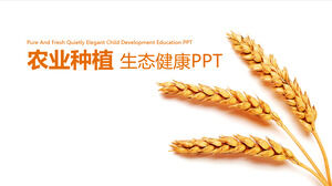 农业种植农产品促销展示PPT模板