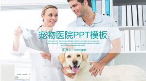 작은 신선한 애완 동물 병원 작업 보고서 PPT 템플릿