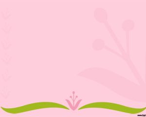 Plantilla rosada de la flor de Powerpoint