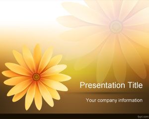 Format Daisy Flower PowerPoint