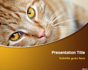 貓的PowerPoint模板