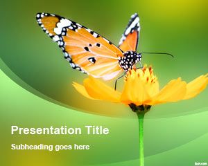 Шаблон Цветочная бабочка PowerPoint