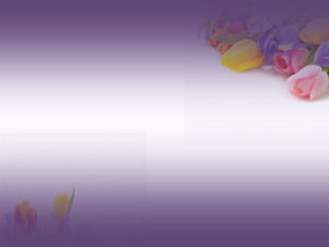 紫色のチューリップPPTの背景画像のダウンロードのグループ