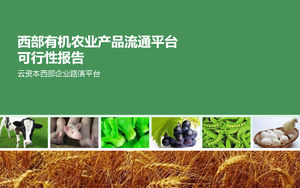 Analiza produselor agricole Platforma de circulație