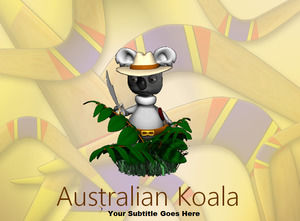 australijski Koala