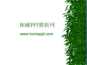 Bambus Bambus-Blätter PPT Hintergrundbild herunterladen