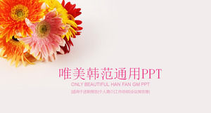 Beautiful Chrysanthemum背景PPT模板免費下載