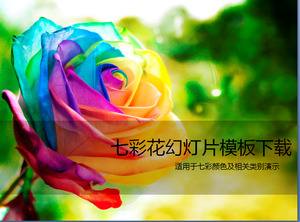 mawar warna-warni yang indah PPT Template Download