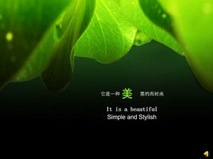 美好的綠色自然PPT背景圖片