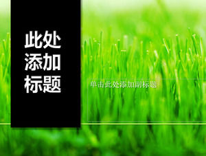 Nero gemma titolo verticale erba verde modello PPT