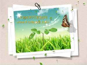 나비 녹색 잔디 슬라이드 배경 템플릿
