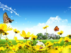 Schmetterling Marienkäfer wilde Chrysantheme PPT Hintergrundbild