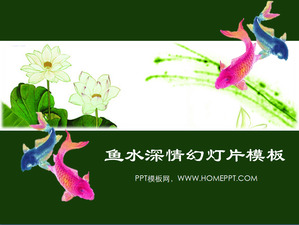 中國風幻燈片模板下載的魚肉卷背景;