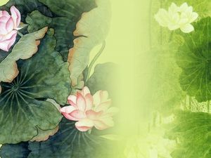 Image d'arrière-plan de diapositive lotus classique