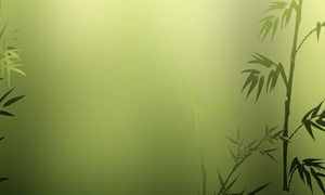 Adânc în pădurea de bambus frunze efectul dinamic care se încadrează