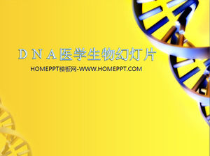 DNA链背景的医疗医疗生物科学幻灯片模板下载