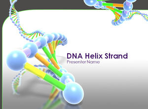 DNA presentasi helix untai