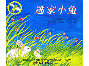 historia de libro de imágenes "conejo Fled"