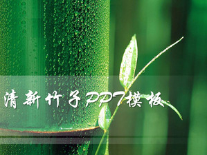 新鮮な竹の背景PowerPointのスライドショーテンプレート
