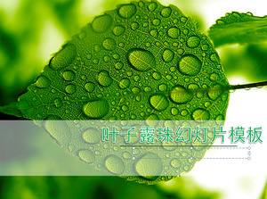 鮮葉下降的背景下，綠色的植物幻燈片模板下載;