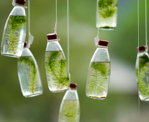Стеклянные бутылки воды Бутылка зеленый мох завод РРТ Фоновое изображение