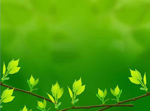 Зеленый свежие листья PowerPoint Фоновое изображение Загрузить