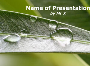 Green leafy droplets Presentation