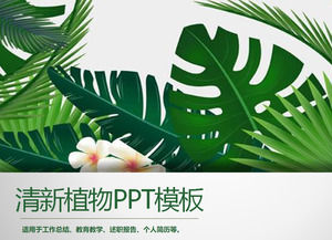 Grünes breites Blatt Pflanzen Hintergrund PPT Vorlage kostenloser Download