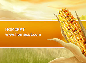玉米收穫背景PPT模板的喜悅