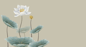 Lotus Like  -  Lotusテーマのミニマリスト純粋な雰囲気中国スタイルのPPTテンプレート